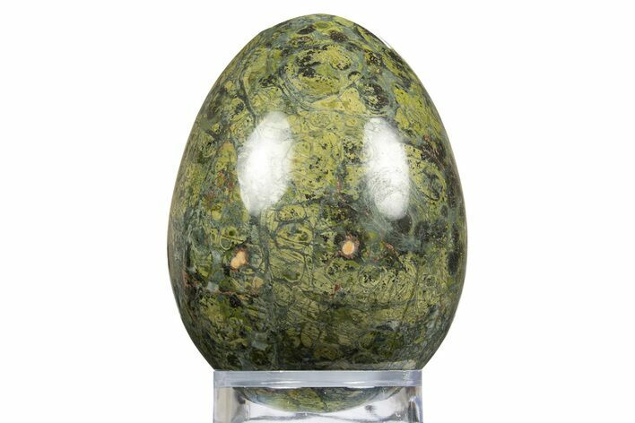 Polished Green and Pink Rhyolite Egg - Australia #312720